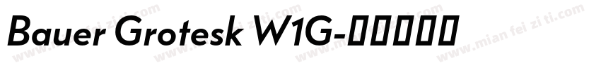 Bauer Grotesk W1G字体转换